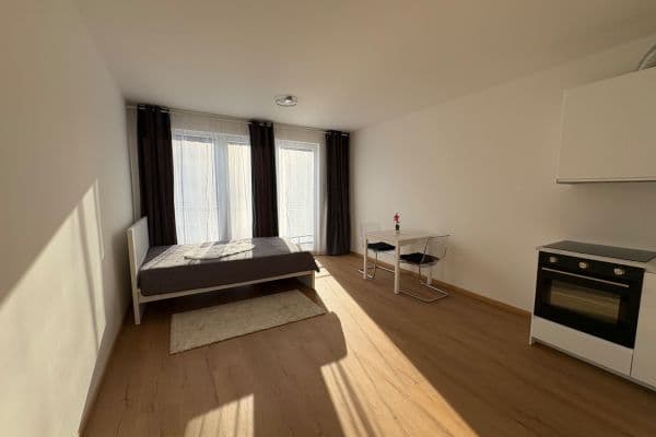 Studio flat to rent, 39 m², Gerstelova, Praha Studio flat to rent, 39 m², Gerstelova, Praha