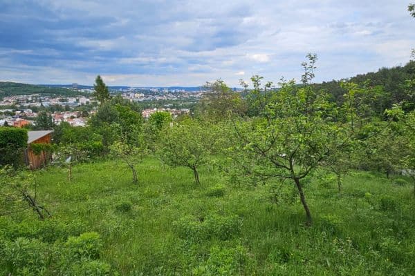 plot to rent, 5,966 m², Muškátová, Brno plot to rent, 5,966 m², Muškátová, Brno