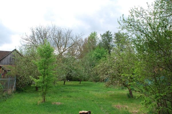 plot for sale, 798 m², Sedlec-Prčice plot for sale, 798 m², Sedlec-Prčice