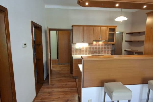 1 bedroom with open-plan kitchen flat to rent, 50 m², Mánesova, Hradec Králové 1 bedroom with open-plan kitchen flat to rent, 50 m², Mánesova, Hradec Králové