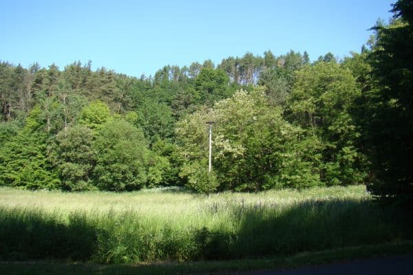 plot for sale, 6,471 m², 25935, Vidim plot for sale, 6,471 m², 25935, Vidim