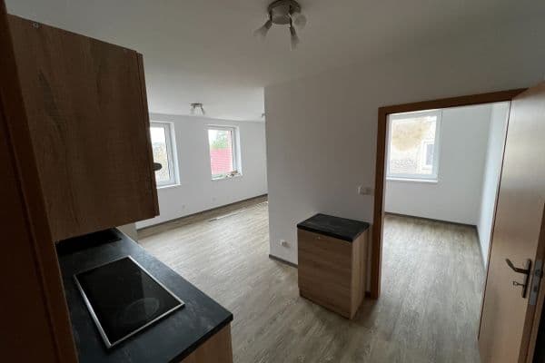 1 bedroom with open-plan kitchen flat to rent, 40 m², ČSA, Hroznětín 1 bedroom with open-plan kitchen flat to rent, 40 m², ČSA, Hroznětín