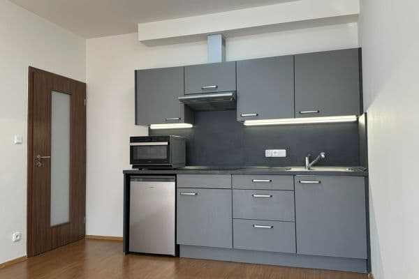 1 bedroom with open-plan kitchen flat to rent, 53 m², Klementova, Praha 1 bedroom with open-plan kitchen flat to rent, 53 m², Klementova, Praha