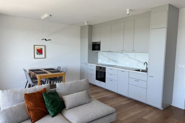 1 bedroom with open-plan kitchen flat to rent, 60 m², Pod Krocínkou, Praha 1 bedroom with open-plan kitchen flat to rent, 60 m², Pod Krocínkou, Praha