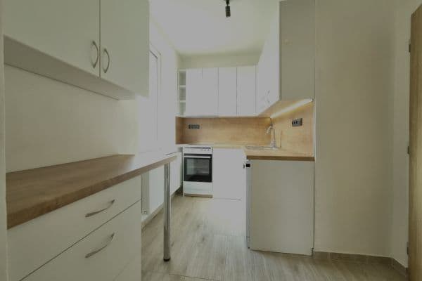 1 bedroom with open-plan kitchen flat to rent, 48 m², Sokolská, Chlumec nad Cidlinou 1 bedroom with open-plan kitchen flat to rent, 48 m², Sokolská, Chlumec nad Cidlinou
