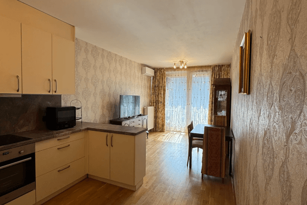 1 bedroom with open-plan kitchen flat to rent, 43 m², Vrchlického, Praha 1 bedroom with open-plan kitchen flat to rent, 43 m², Vrchlického, Praha