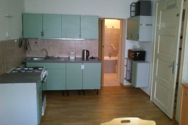 1 bedroom with open-plan kitchen flat to rent, 53 m², V Zálomu, Praha 1 bedroom with open-plan kitchen flat to rent, 53 m², V Zálomu, Praha