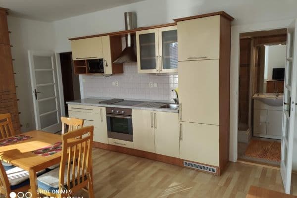 1 bedroom with open-plan kitchen flat to rent, 47 m², Bezručova, Brno 1 bedroom with open-plan kitchen flat to rent, 47 m², Bezručova, Brno