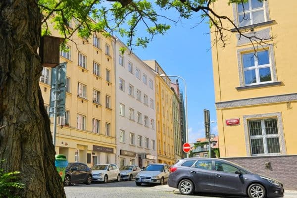 1 bedroom with open-plan kitchen flat to rent, 42 m², Horní, Praha 1 bedroom with open-plan kitchen flat to rent, 42 m², Horní, Praha