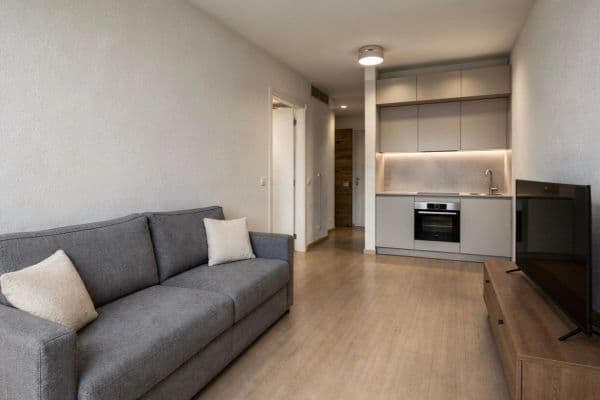 1 bedroom with open-plan kitchen flat to rent, 40 m², Sokolovská, Prague, Prague 1 bedroom with open-plan kitchen flat to rent, 40 m², Sokolovská, Prague, Prague