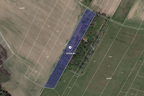 plot for sale, 3,376 m², Hlavečník plot for sale, 3,376 m², Hlavečník
