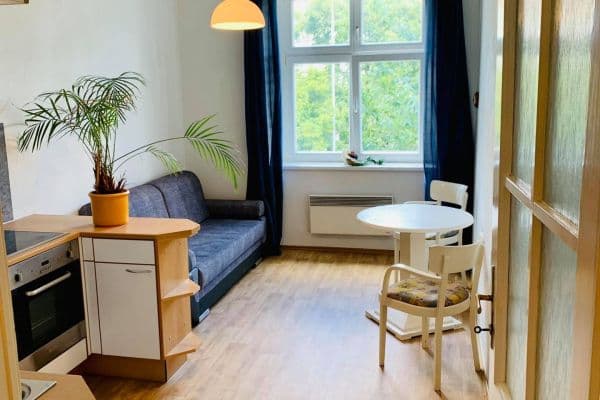 1 bedroom with open-plan kitchen flat to rent, 45 m², Ruská, Prague, Prague 1 bedroom with open-plan kitchen flat to rent, 45 m², Ruská, Prague, Prague