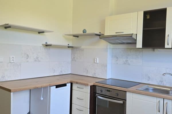 1 bedroom with open-plan kitchen flat to rent, 37 m², Tyršova, Brno 1 bedroom with open-plan kitchen flat to rent, 37 m², Tyršova, Brno
