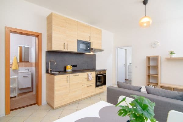 1 bedroom with open-plan kitchen flat to rent, 50 m², Sokolovská, Praha 1 bedroom with open-plan kitchen flat to rent, 50 m², Sokolovská, Praha