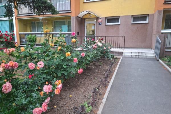 2 bedroom with open-plan kitchen flat for sale, 60 m², Veltruská, Praha 2 bedroom with open-plan kitchen flat for sale, 60 m², Veltruská, Praha