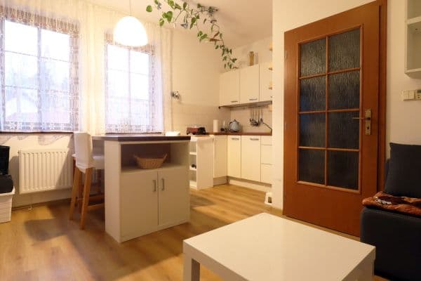 1 bedroom with open-plan kitchen flat to rent, 35 m², Palackého, Jílové u Prahy 1 bedroom with open-plan kitchen flat to rent, 35 m², Palackého, Jílové u Prahy