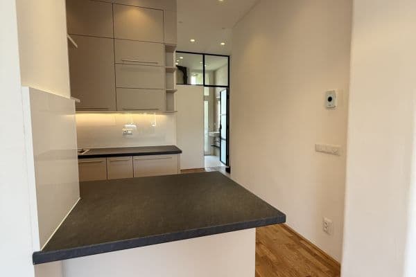 1 bedroom with open-plan kitchen flat to rent, 55 m², Vodárenská, Praha 1 bedroom with open-plan kitchen flat to rent, 55 m², Vodárenská, Praha