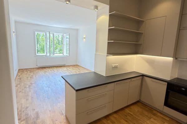 1 bedroom with open-plan kitchen flat to rent, 55 m², Vodárenská, Praha 1 bedroom with open-plan kitchen flat to rent, 55 m², Vodárenská, Praha