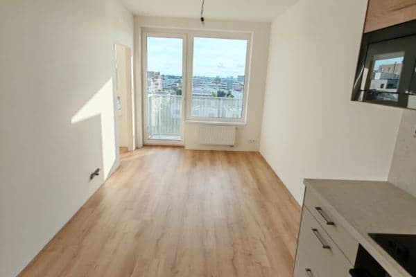 1 bedroom with open-plan kitchen flat to rent, 44 m², Honzíkova, Praha 1 bedroom with open-plan kitchen flat to rent, 44 m², Honzíkova, Praha
