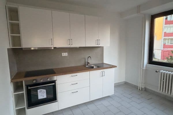 1 bedroom with open-plan kitchen flat to rent, 65 m², Na Luzích, Praha 1 bedroom with open-plan kitchen flat to rent, 65 m², Na Luzích, Praha