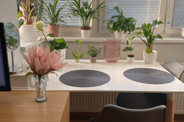 Studio flat to rent, 27 m², Mikanova, Praha Studio flat to rent, 27 m², Mikanova, Praha