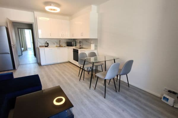 1 bedroom with open-plan kitchen flat to rent, 52 m², Poděbradská, Praha 1 bedroom with open-plan kitchen flat to rent, 52 m², Poděbradská, Praha