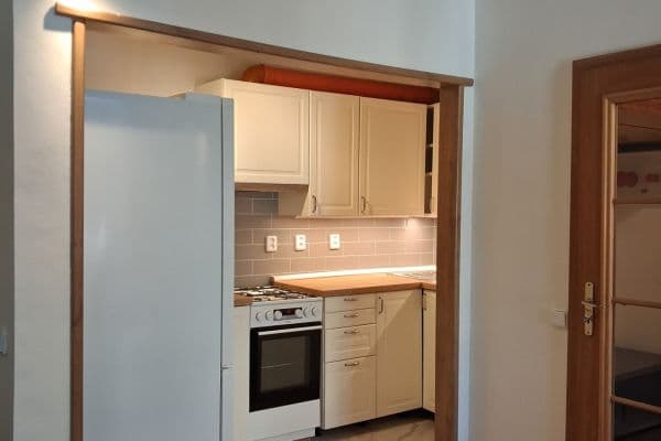1 bedroom with open-plan kitchen flat to rent, 47 m², Vratislavova, Praha 1 bedroom with open-plan kitchen flat to rent, 47 m², Vratislavova, Praha