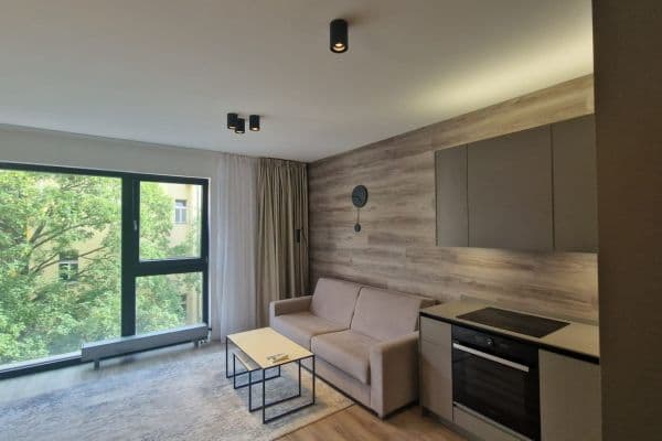 1 bedroom with open-plan kitchen flat to rent, 50 m², Staropramenná, Praha 1 bedroom with open-plan kitchen flat to rent, 50 m², Staropramenná, Praha