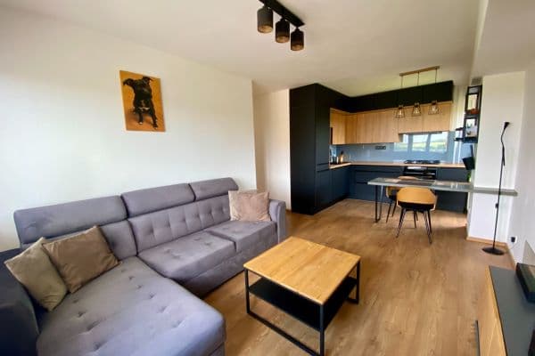 1 bedroom with open-plan kitchen flat for sale, 43 m², Průběžná, Ostrava 1 bedroom with open-plan kitchen flat for sale, 43 m², Průběžná, Ostrava