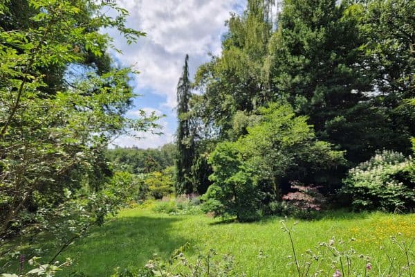 plot for sale, 1,890 m², Viehweideweg 18, Hofheim am Taunus - Langenhain plot for sale, 1,890 m², Viehweideweg 18, Hofheim am Taunus - Langenhain