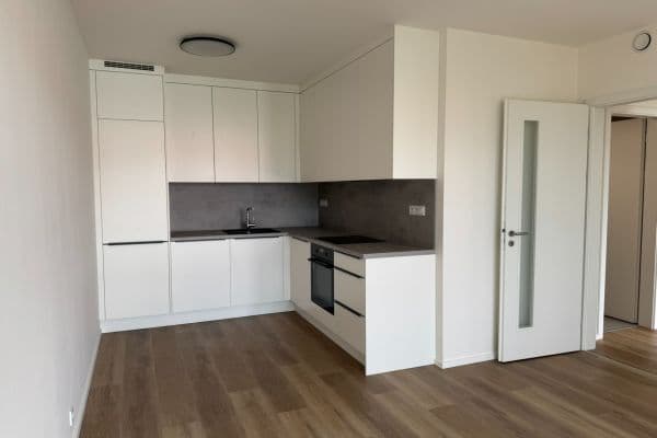 1 bedroom with open-plan kitchen flat to rent, 56 m², Hodkovická, Praha 1 bedroom with open-plan kitchen flat to rent, 56 m², Hodkovická, Praha