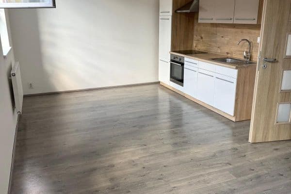 1 bedroom with open-plan kitchen flat to rent, 54 m², Rubešova, Plzeň, Plzeňský Region 1 bedroom with open-plan kitchen flat to rent, 54 m², Rubešova, Plzeň, Plzeňský Region