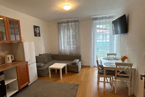 1 bedroom with open-plan kitchen flat for sale, 44 m², Za Dvorem, Kozinec 1 bedroom with open-plan kitchen flat for sale, 44 m², Za Dvorem, Kozinec