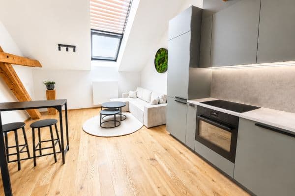 1 bedroom with open-plan kitchen flat to rent, 56 m², Vrtbova, Praha 1 bedroom with open-plan kitchen flat to rent, 56 m², Vrtbova, Praha