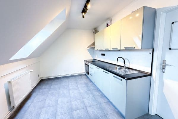 1 bedroom with open-plan kitchen flat to rent, 71 m², U Valu, Nupaky 1 bedroom with open-plan kitchen flat to rent, 71 m², U Valu, Nupaky