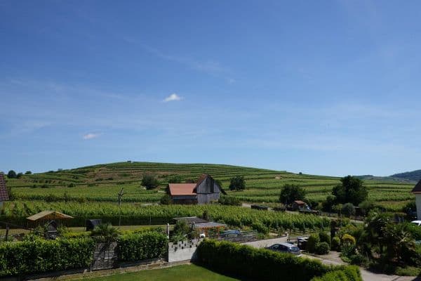 3 bedroom with open-plan kitchen flat for sale, 124 m², Vogtsburg im Kaiserstuhl 3 bedroom with open-plan kitchen flat for sale, 124 m², Vogtsburg im Kaiserstuhl