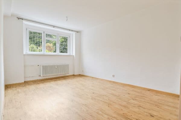 1 bedroom with open-plan kitchen flat to rent, 44 m², Podolská, Praha 1 bedroom with open-plan kitchen flat to rent, 44 m², Podolská, Praha