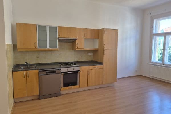 1 bedroom with open-plan kitchen flat to rent, 48 m², Boleslavova, Praha 1 bedroom with open-plan kitchen flat to rent, 48 m², Boleslavova, Praha