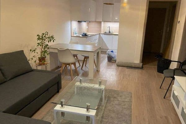 1 bedroom with open-plan kitchen flat to rent, 51 m², Do Zahrádek I, Prague 1 bedroom with open-plan kitchen flat to rent, 51 m², Do Zahrádek I, Prague
