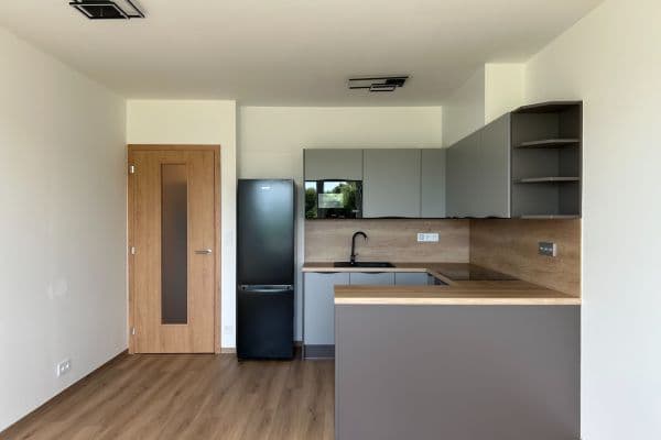 1 bedroom with open-plan kitchen flat to rent, 54 m², Jižní, Brno 1 bedroom with open-plan kitchen flat to rent, 54 m², Jižní, Brno