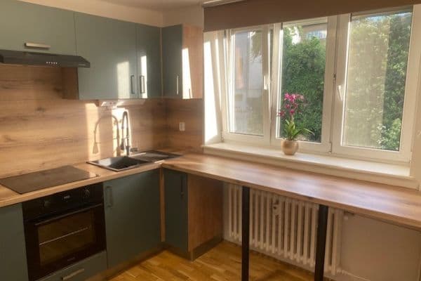 1 bedroom with open-plan kitchen flat to rent, 69 m², Nad Jenerálkou, Praha 1 bedroom with open-plan kitchen flat to rent, 69 m², Nad Jenerálkou, Praha