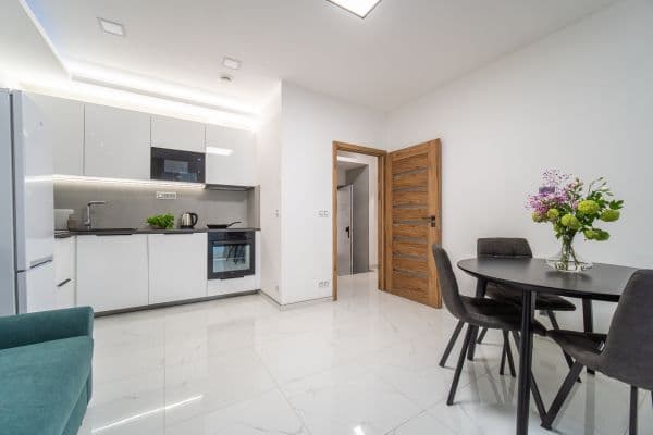 1 bedroom with open-plan kitchen flat to rent, 37 m², Sokolovská, Praha 1 bedroom with open-plan kitchen flat to rent, 37 m², Sokolovská, Praha