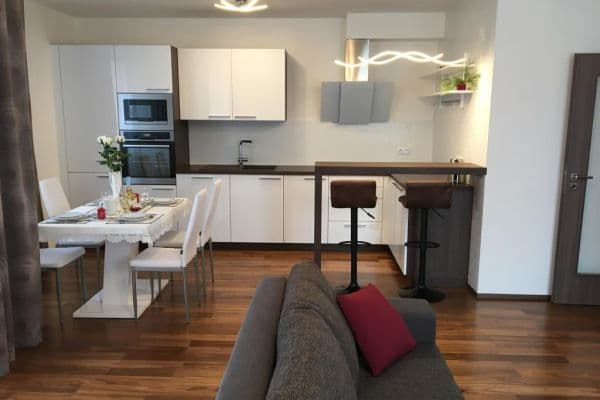 1 bedroom with open-plan kitchen flat to rent, 62 m², Nekvasilova, Praha 1 bedroom with open-plan kitchen flat to rent, 62 m², Nekvasilova, Praha