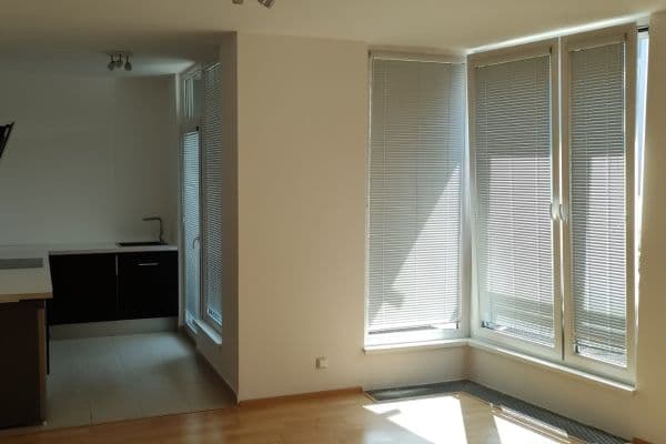 1 bedroom with open-plan kitchen flat to rent, 61 m², Raichlova, Praha 1 bedroom with open-plan kitchen flat to rent, 61 m², Raichlova, Praha