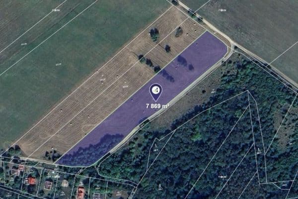 plot for sale, 7,869 m², Sýkořice plot for sale, 7,869 m², Sýkořice