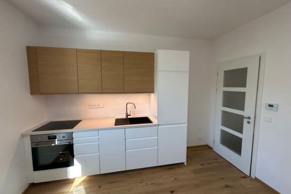 1 bedroom with open-plan kitchen flat to rent, 47 m², Pod Drinopolem, Praha 1 bedroom with open-plan kitchen flat to rent, 47 m², Pod Drinopolem, Praha