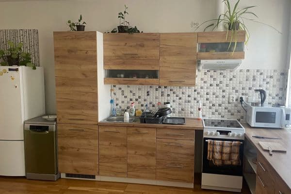 1 bedroom with open-plan kitchen flat to rent, 61 m², Karlovarská, Plzeň 1 bedroom with open-plan kitchen flat to rent, 61 m², Karlovarská, Plzeň