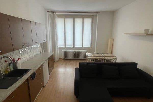 1 bedroom with open-plan kitchen flat to rent, 60 m², Plavecká, Praha 1 bedroom with open-plan kitchen flat to rent, 60 m², Plavecká, Praha