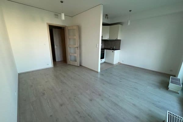 1 bedroom with open-plan kitchen flat to rent, 42 m², Chlebovická, Praha 1 bedroom with open-plan kitchen flat to rent, 42 m², Chlebovická, Praha