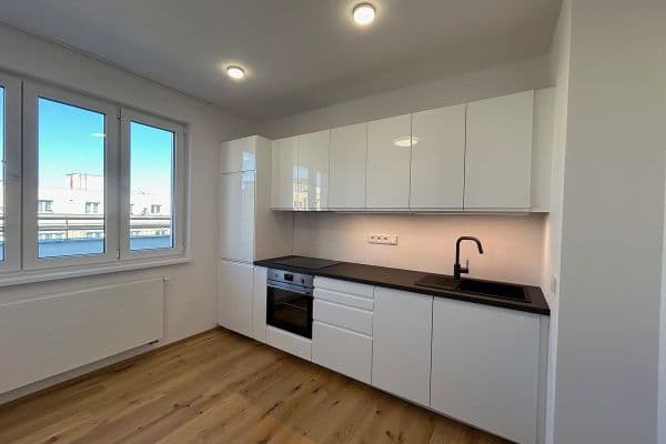 1 bedroom with open-plan kitchen flat to rent, 71 m², Pod Drinopolem, Praha 1 bedroom with open-plan kitchen flat to rent, 71 m², Pod Drinopolem, Praha